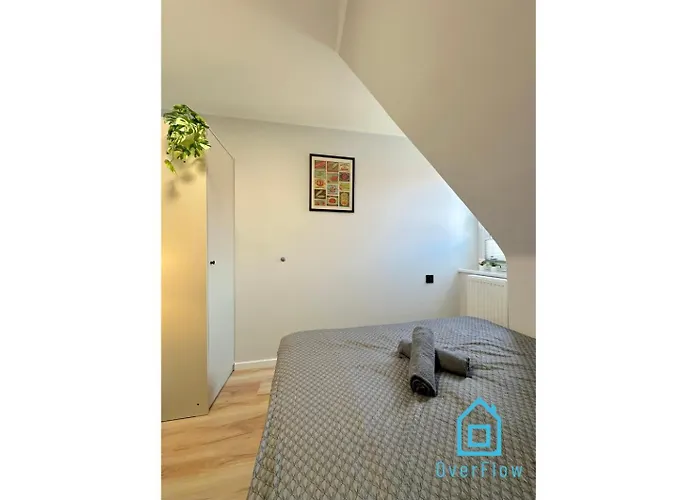 Homestay Brand - 10 Minutes To Old Town